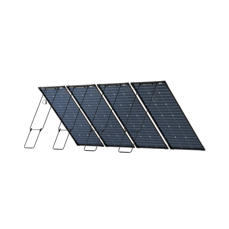 ギャラリービューアに画像をロードする, EcoFlow 125W 両面ソーラーパネル