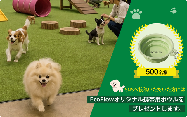 ドッグラン