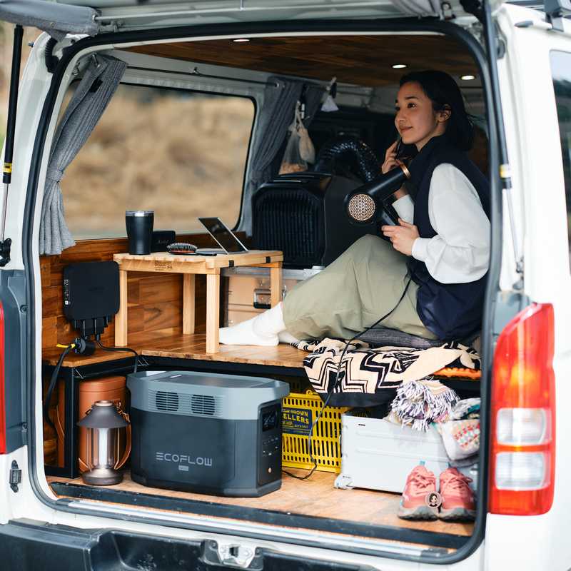 ギャラリービューアに画像をロードする, EcoFlow 800W Alternator Charger