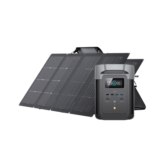 DELTA 2+ 220W両面受光型ソーラーパネルセット