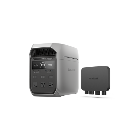 DELTA 3 Plus + 800W Alternator Charger