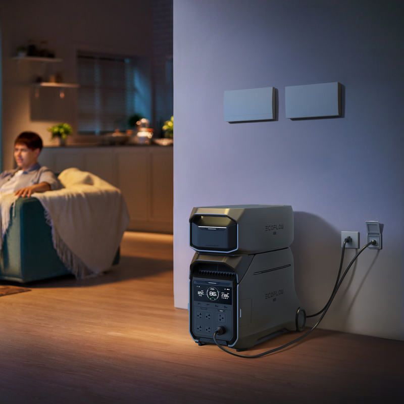 ギャラリービューアに画像をロードする, DELTA Pro 3 + 専用エクストラバッテリー + 切替分電盤セット