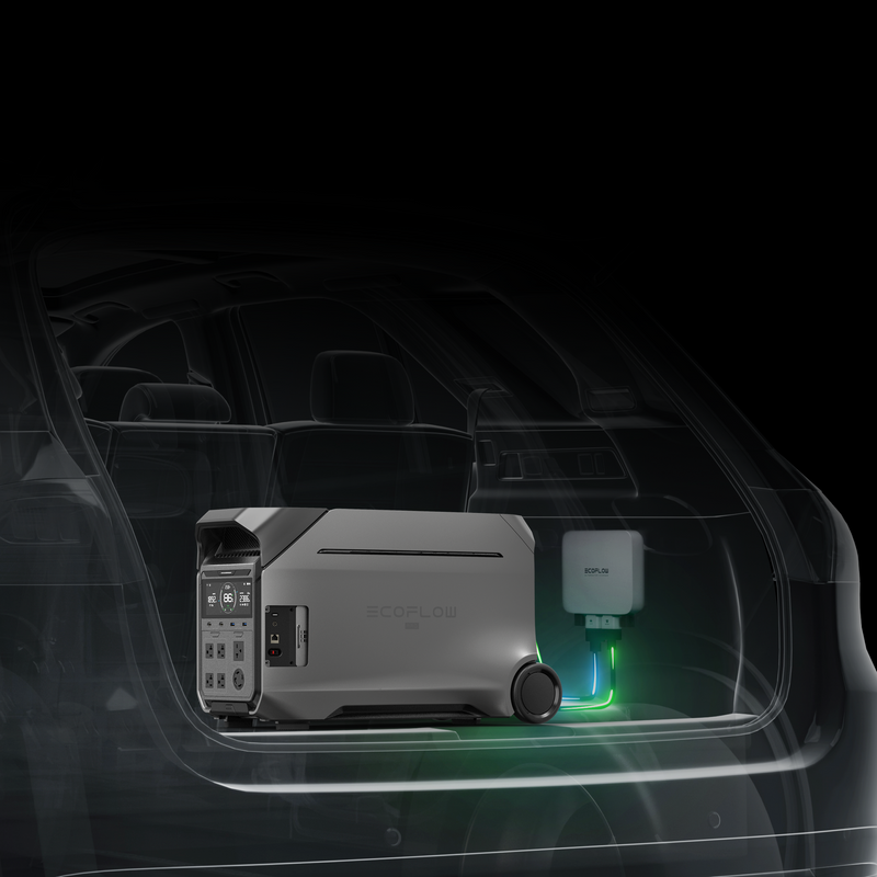ギャラリービューアに画像をロードする, DELTA Pro 3 + 800W Alternator Charger