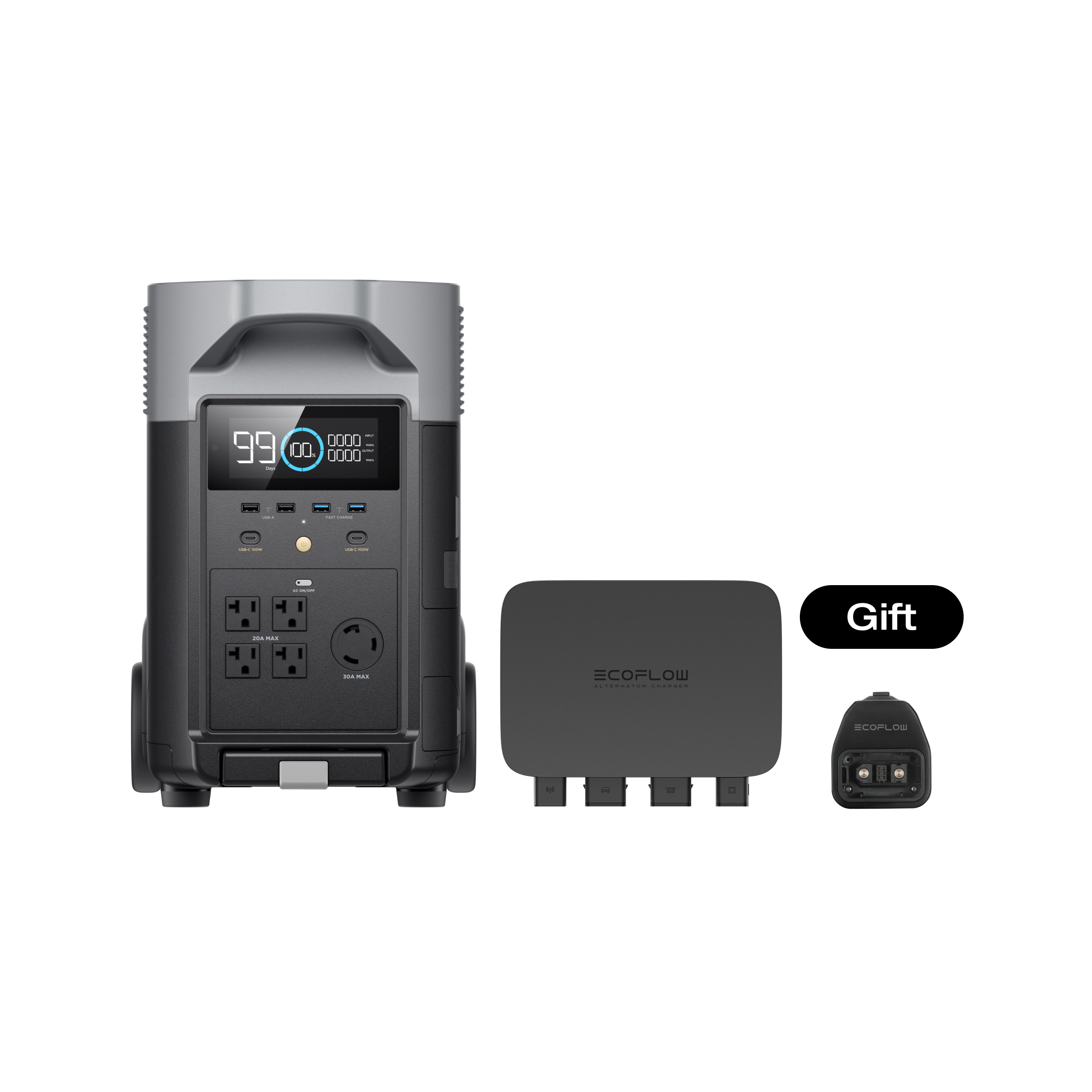 DELTA Pro + 800W Alternator Charger
