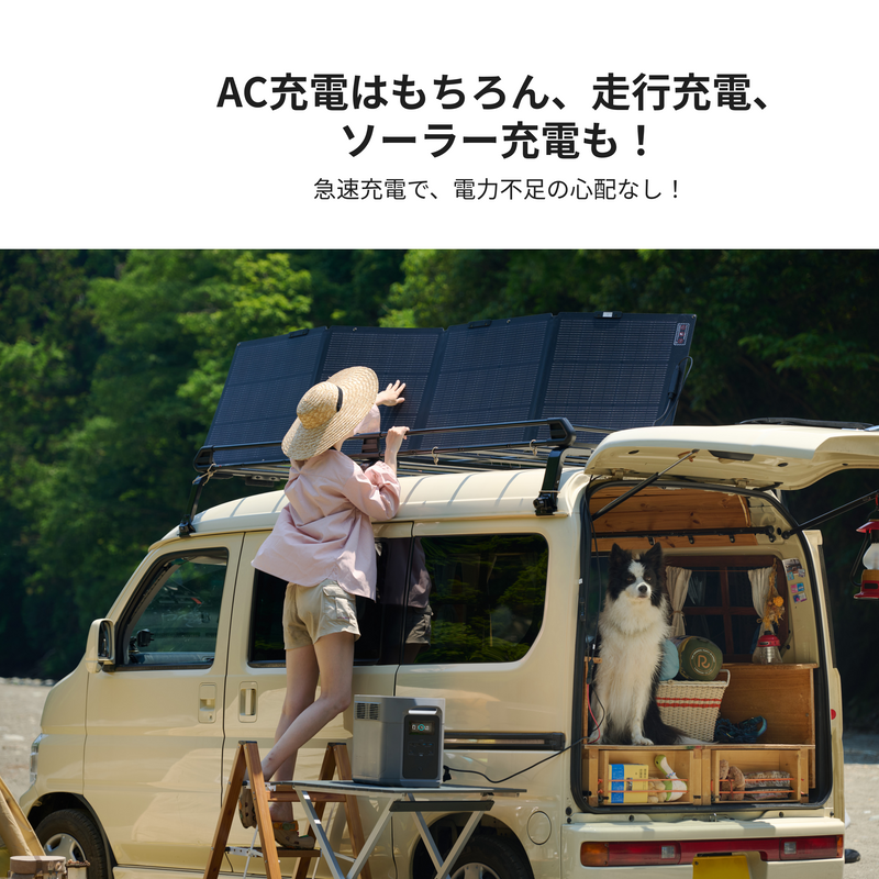 ギャラリービューアに画像をロードする, DELTA 2 Max S |デルタ 2 マックス エス