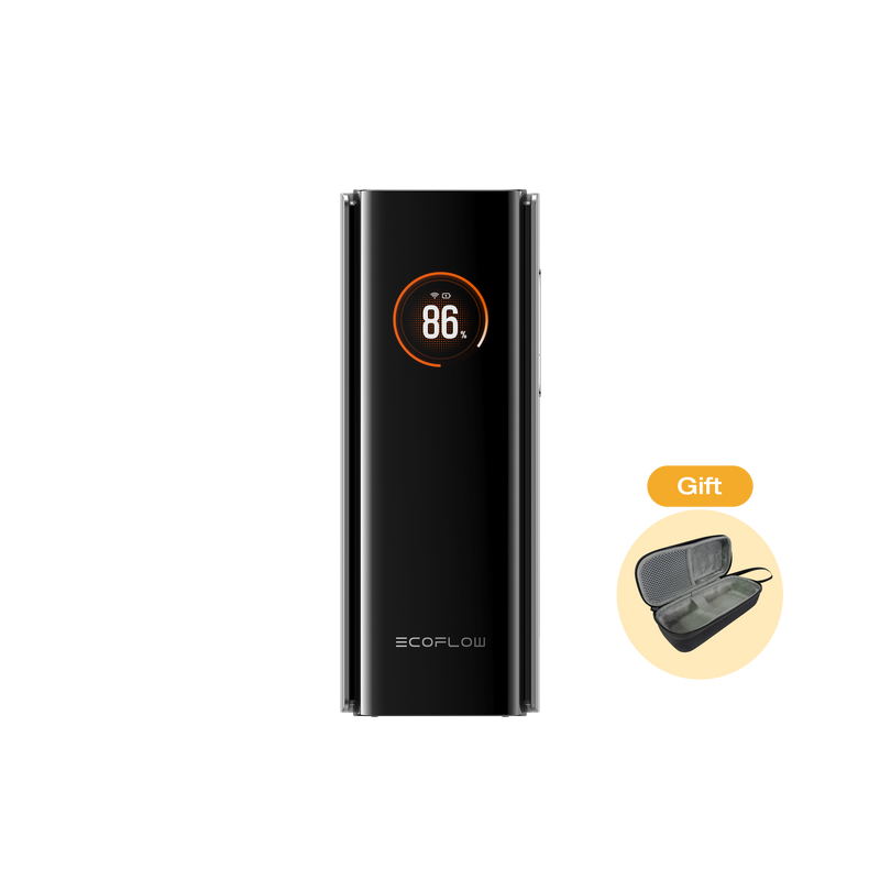 ギャラリービューアに画像をロードする, EcoFlow RAPID Pro Power Bank(20,000mAh, 230W, 100W USB-Cケーブル内蔵)