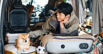 【最新】夏の車中泊ガイド|暑さ・虫除け対策や必需品・便利グッズも解説
