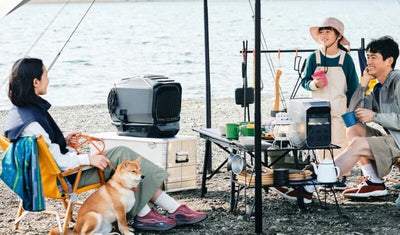 犬連れキャンプに必要な持ち物7選！キャンプ場選びのコツや準備・注意点も解説 　