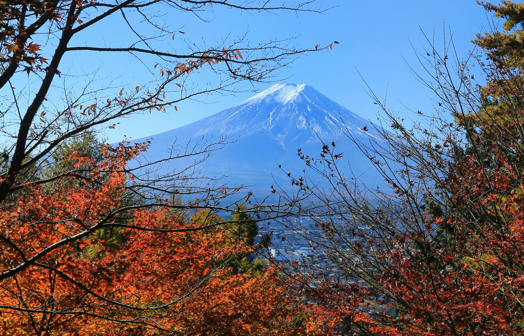 【初心者必見】富士山登山ガイド！山開きの時期や必要な持ち物も徹底解説
