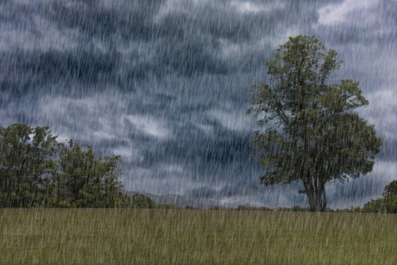 日本一雨が多い都道府県はどこ？降水量のランキングや大雨地域の対策も解説