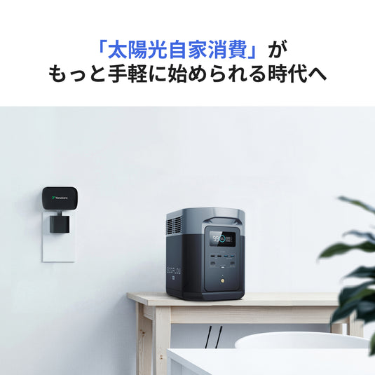 EcoFlow NEO