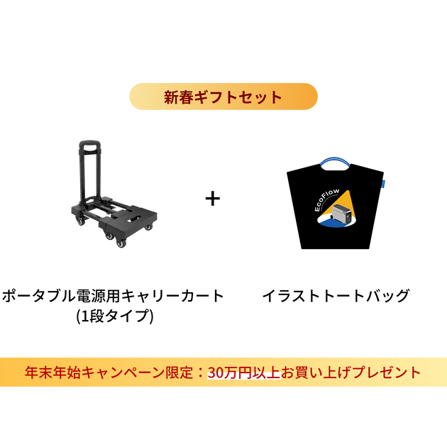 「2025-年末年始キャンペーン専用」新春ギフトセット