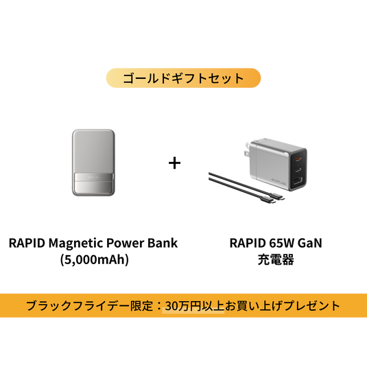 「2025 EcoFlow ブラックフライデー専用」30万円以上お買い上げプレゼント