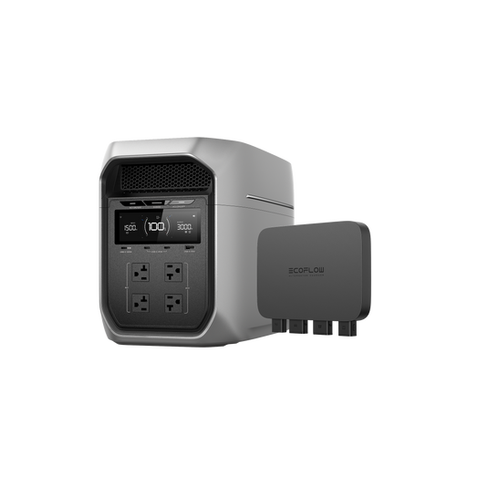 DELTA 3 Max Plus + 800W Alternator Charger