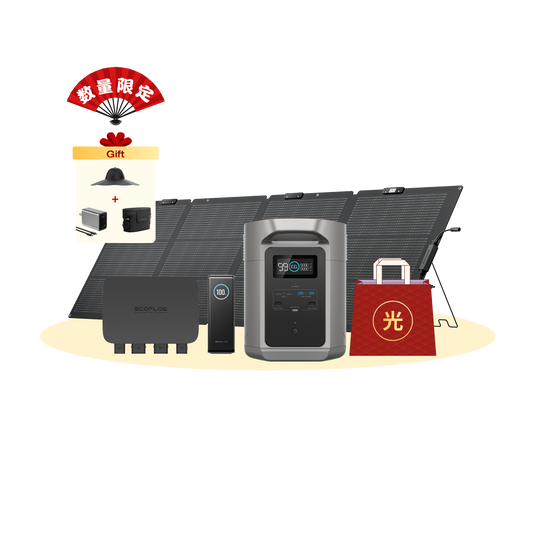 エコフロー福袋2026　光