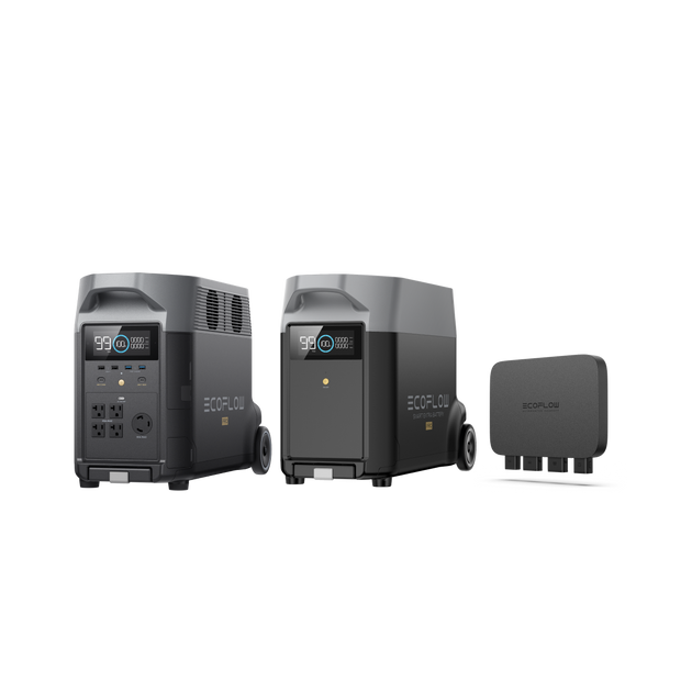 DELTA Pro + 専用エクストラバッテリー + 800W Alternator Chargerセット