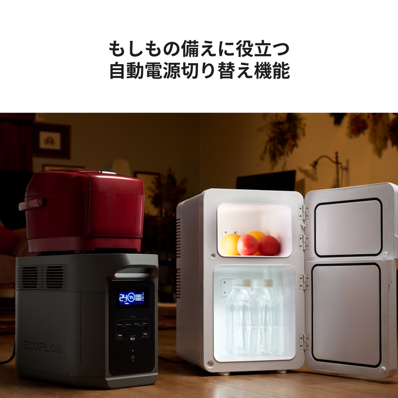 ギャラリービューアに画像をロードする, DELTA 2 Max S |デルタ 2 マックス エス
