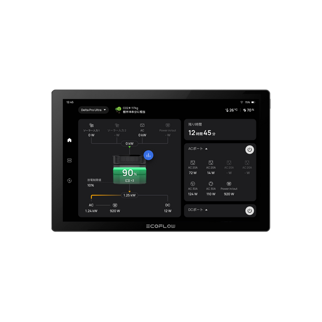 EcoFlow PowerInsight