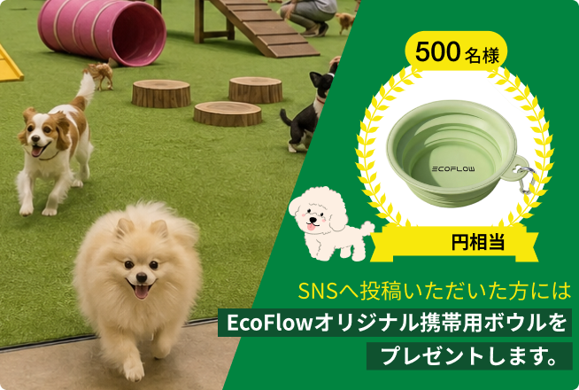 ドッグラン