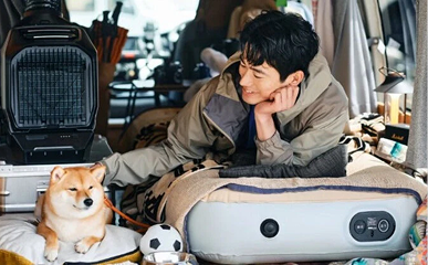 【最新】夏の車中泊ガイド|暑さ・虫除け対策や必需品・便利グッズを解説