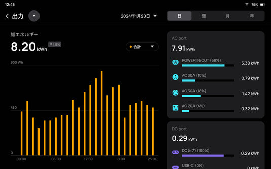 EcoFlow PowerInsight